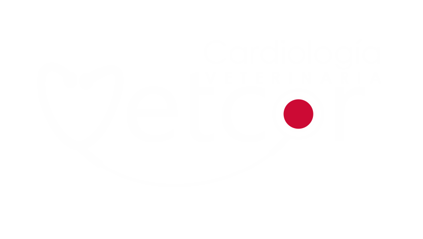 Logo Vetcor Cardiología Veterinaria.